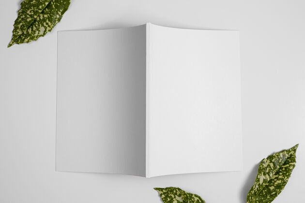 创意顶视图自然杂志封面模型与树叶安排公共杂志设计杂志封面