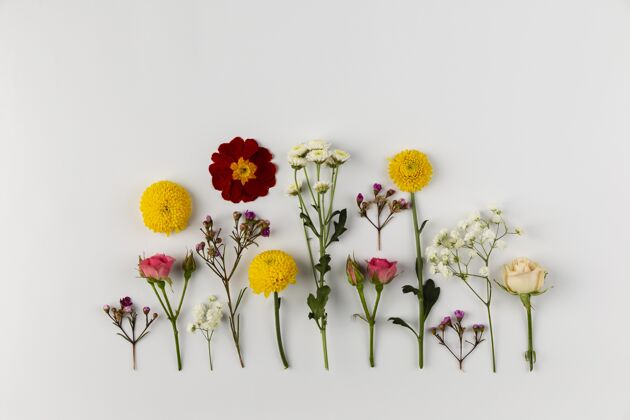 套装桌面上的花卉收藏平放花开花