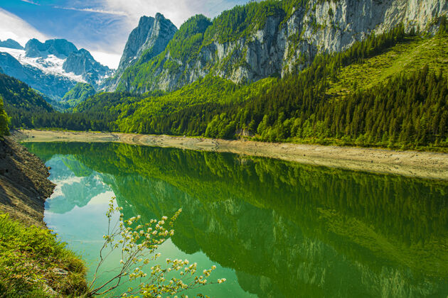 阿尔卑斯山在一个晴朗的日子里 被奥地利阿尔卑斯山环绕的戈索西湖的美丽照片山森林奥地利