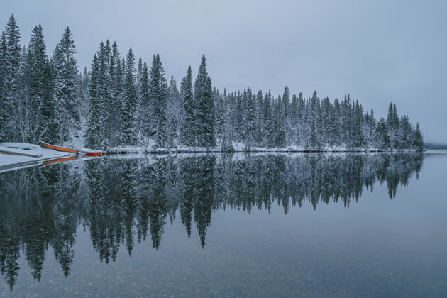 景观平静的湖面上可以看到雪树的倒影 在冬天的雾天雾平静季节