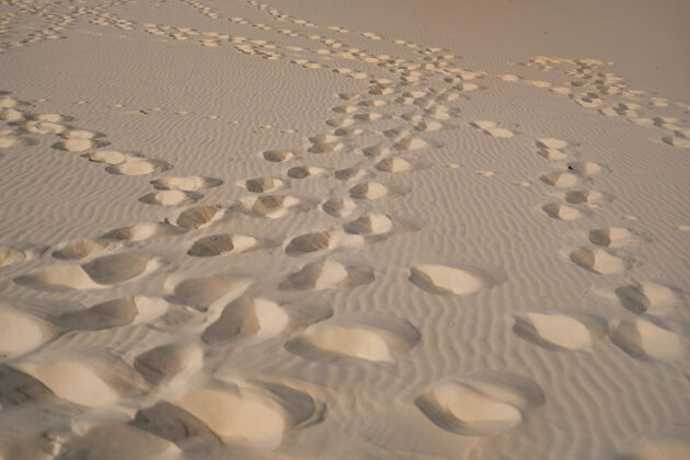 洞有洞的光滑沙子特写镜头海海滩特写