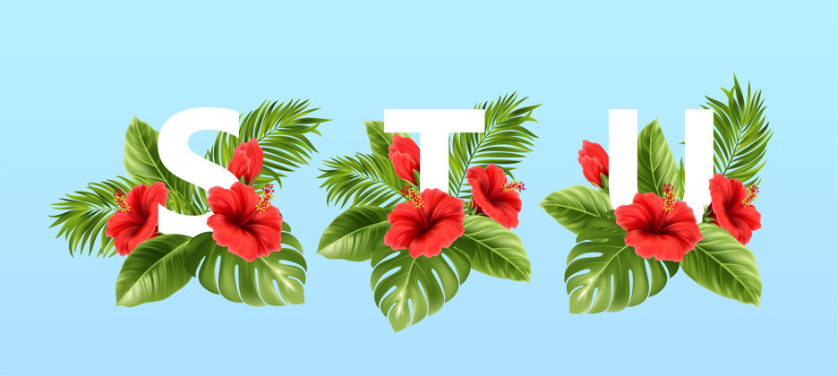 夏威夷信被夏天的热带树叶和红色的芙蓉花包围着字母海滩热带棕榈叶