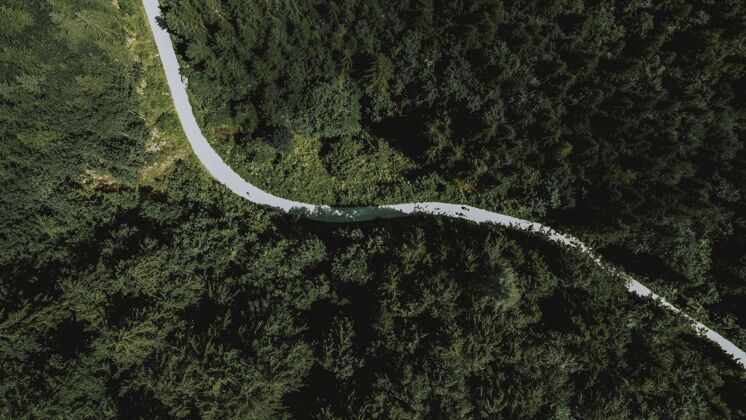 树空中拍摄的一条长长的公路穿过茂密的绿树乡村路径光