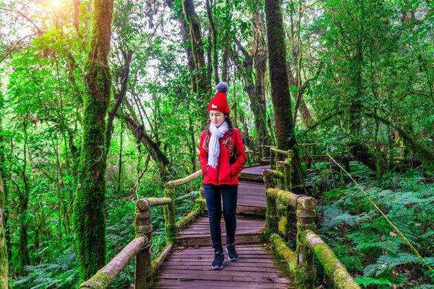 环境游客在泰国清迈的doiinthanon国家公园的angka自然小道上散步叶木热带