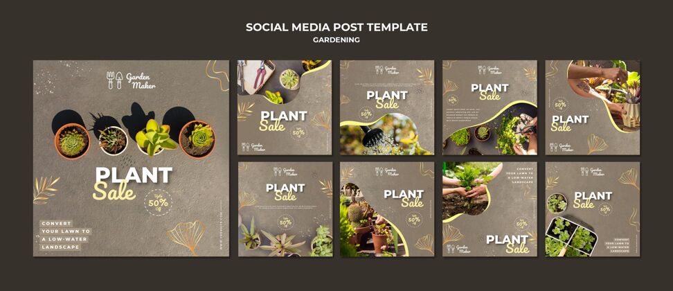 社交媒体园艺instagram帖子模板与照片花园Instagram花盆