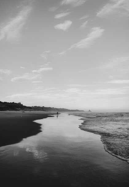垂直新西兰达尼丁波浪和海滩的垂直灰度照片海洋干净环境
