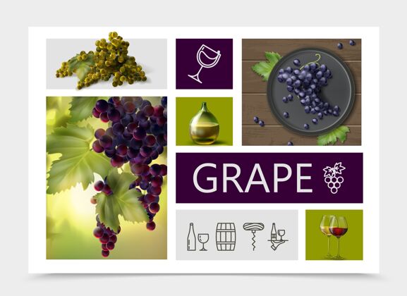酿酒真实的葡萄组成与白 红 紫葡萄瓶和葡萄酒和酿酒线性图标杯瓶子酒庄设置