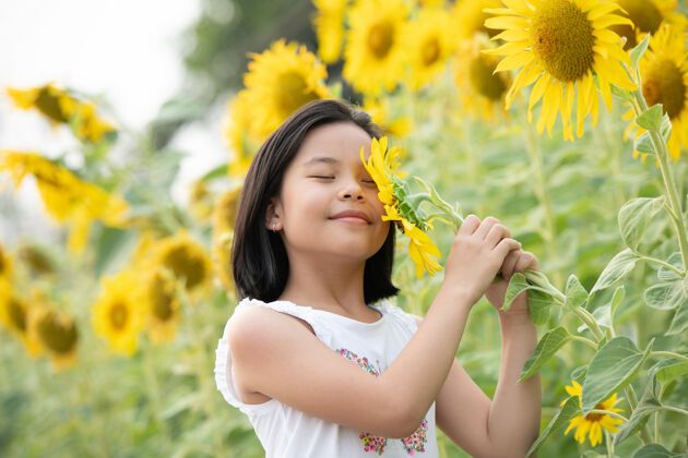 玩耍快乐的亚洲小女孩在阳光下 在盛开的向日葵中嬉戏太阳享受户外