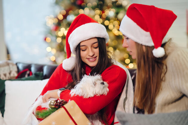 朋友圣诞节 两个女人带着一只小狗坐在沙发上女性帽子小狗