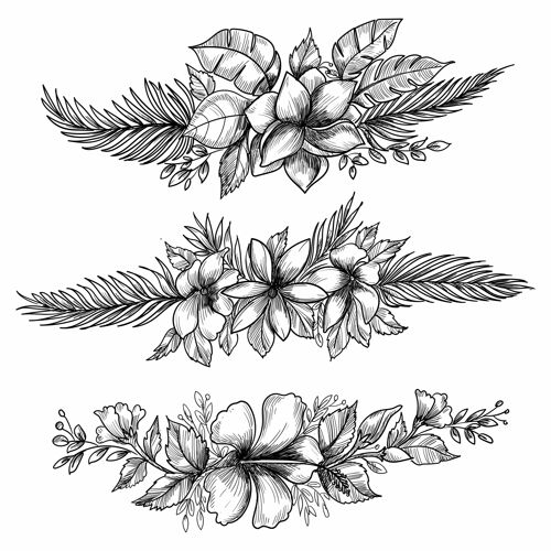 安排装饰花套素描设计植物学开花花