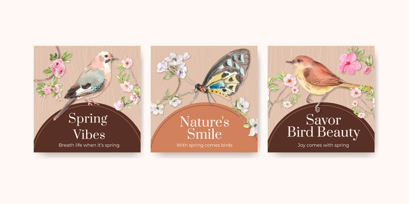 水彩广告模板集鸟类和春天的概念羽毛野生动物春天