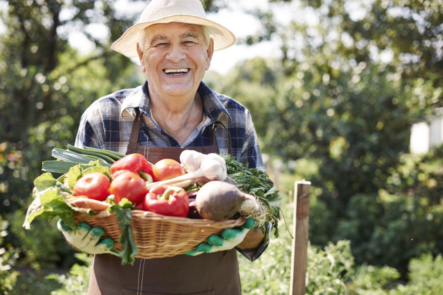 自然一个拿着一箱蔬菜在地里干活的老人食物职业举行