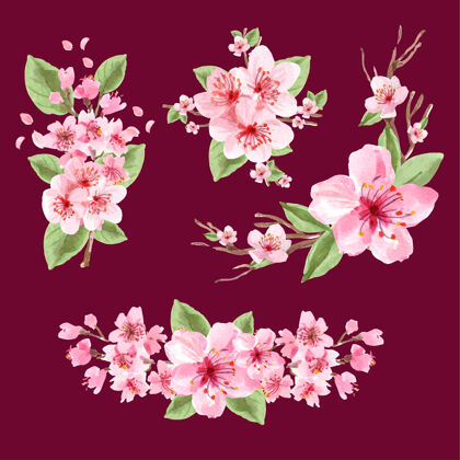 樱花花束与樱花概念设计水彩插画花束日本蓬勃发展