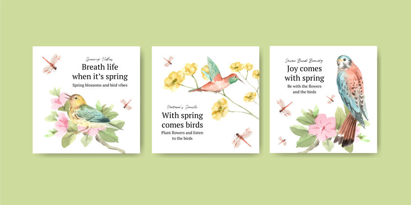 花卉广告模板集鸟类和春天的概念美丽营销可爱