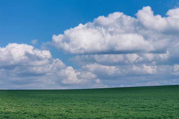 夏天美丽的绿色草地在蓬松的云层下乡村自然云