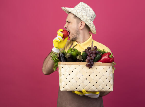 帽子年轻的园丁戴着工作手套 穿着连体衣 戴着帽子 手里拿着装满蔬菜的箱子 咬着新鲜的西红柿花园粉色咬