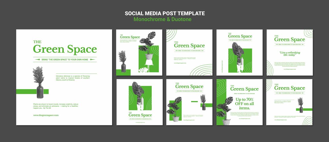叶子绿色空间社交媒体帖子模板花盆包装植物