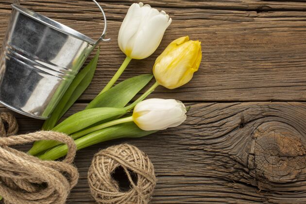 顶视图郁金香花束与绳子和桶平放春天春天的时间