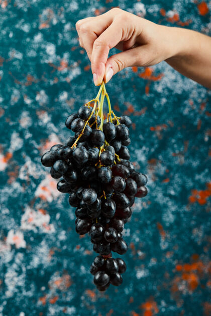 有机拿着黑葡萄在蓝色的表面持有水果多汁