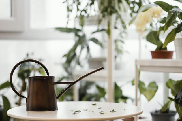 种植用植物浇灌公寓桌子上的水罐浇水罐草药花卉