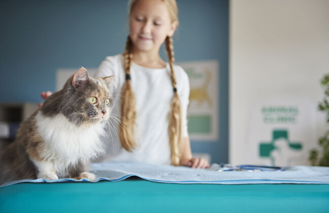 疾病兽医那里的女孩和她的猫家猫保健药品微笑