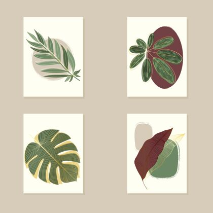 自然植物封面系列封面叶龄蔬菜