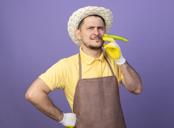 辣椒年轻的园丁穿着连体衣 戴着帽子 戴着工作手套 手里拿着像雪茄一样的青椒 站在紫色的墙上 看上去很自信人持有年轻