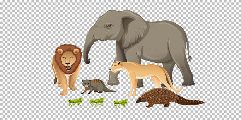 卡通透明背景上的一群非洲野生动物植物捕食者运动