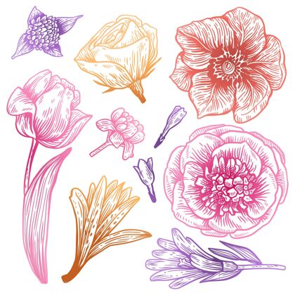 绘画手绘春花系列艺术家季节花卉