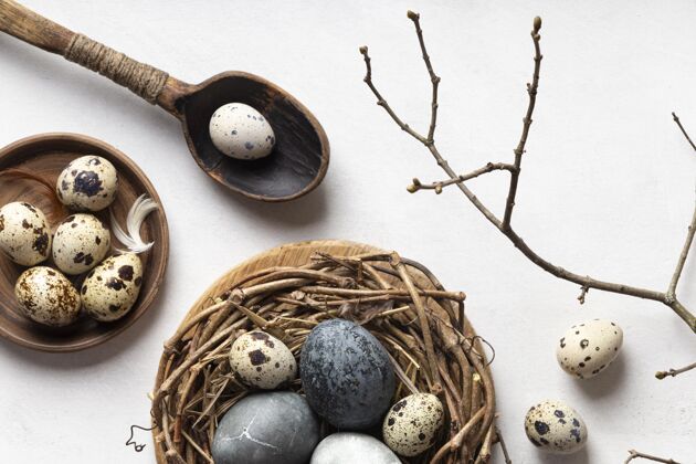复活节鸟巢中复活节彩蛋的俯视图 有树枝和木勺树枝羽毛帕夏