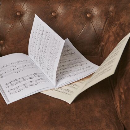 天才沙发上高角度的乐谱笔记艺术家课程