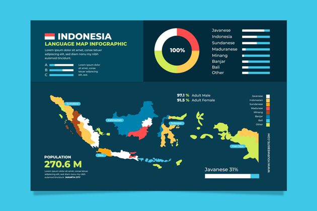 平面设计平面设计印尼地图信息图图表信息信息图