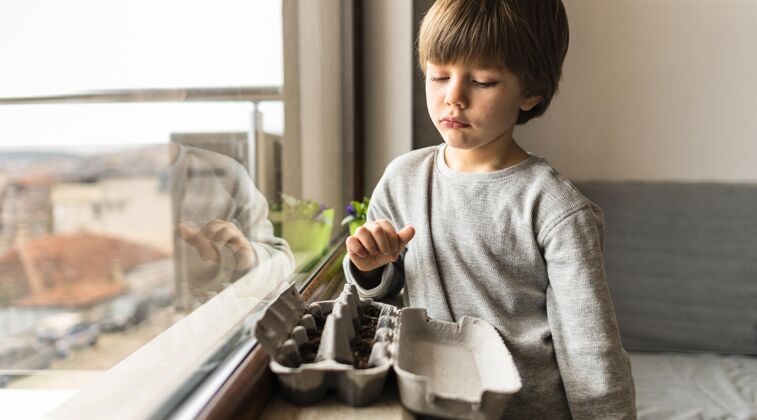 生物小男孩在鸡蛋盒里种下种子庭院蔬菜农学