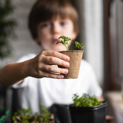 蔬菜散焦的小男孩在家拿着花盆里的植物栽培园艺种植