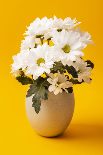 花正面图花瓶里的白花春天蔬菜分类