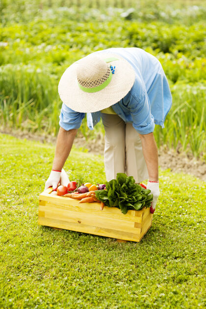 健康饮食老妇人拿起装满新鲜蔬菜的盒子庄稼板条箱老年妇女