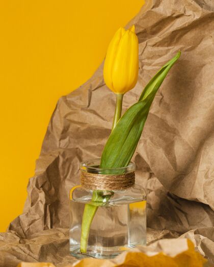 春天透明花瓶里的黄色郁金香花开花花