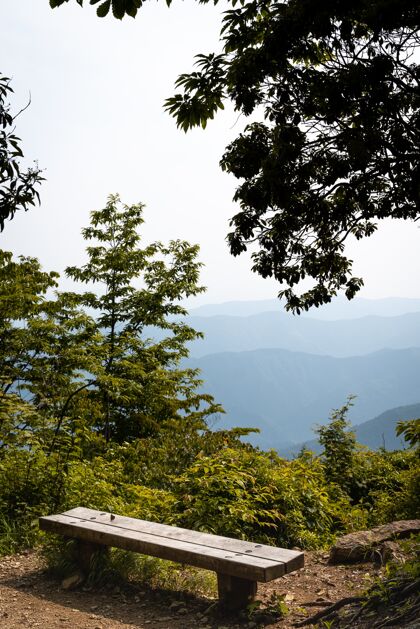 背景在阳光明媚的日子里 一张木制长凳的垂直镜头可以看到山的景色木绿天