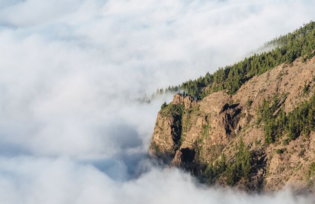 高大在白天透过云层可以看到一座美丽的山上绿树的水平镜头丘陵木景观