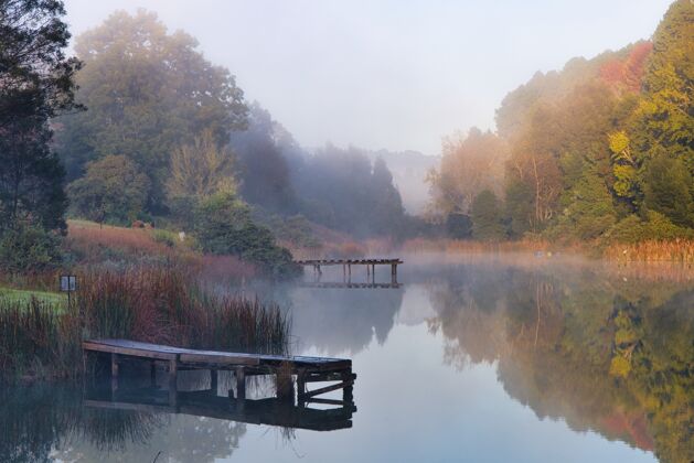 景美丽的照片湖周围的树木与雾形成了它景阳光湖