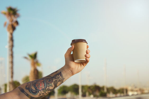 城市纹身男子的手臂和手与瓦楞纸板米色一次性咖啡杯对晴朗的蓝天和棕榈树瓦楞热透明