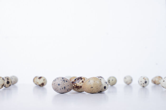 贝壳白色表面的有机鹌鹑蛋鸡蛋生的新鲜