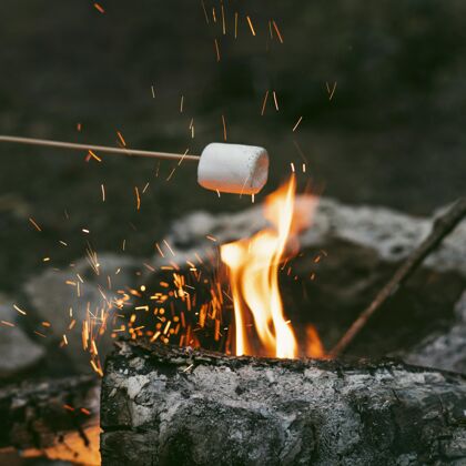 火灾在营火中烧棉花糖的人季节性棉花糖营地火灾