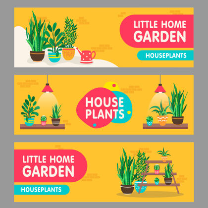 绿色家庭用植物横幅集家庭用植物与盆在架子上矢量插图与文字家庭内部和花园概念花店传单和传单设计模板家黄色