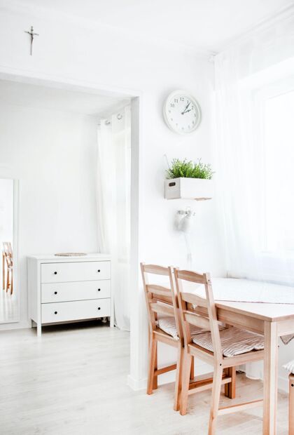 干净垂直拍摄的白色内饰与木制元素室内空的植物