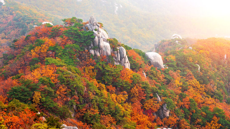 森林秋天的布坎山 韩国的首尔日出阳光山峰