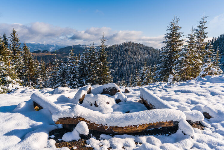 休闲在喀尔巴阡山脉的一个大雪覆盖的营火点上我看到了明亮寒冷的阳光野营柴火极限