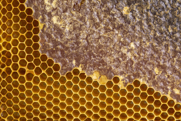 蜂蜜黄色蜂窝状纹理背景纹理蜂窝