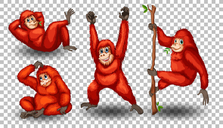 猴子透明背景上的红毛猩猩悬挂猴子设置