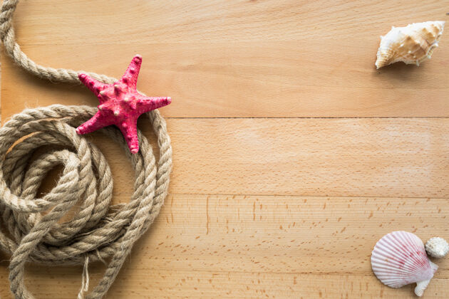乡村从绳子上俯瞰 贝壳和红海星躺在木板上航海头顶度假